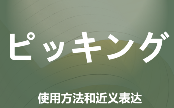 【附例文】【ピッキング】的使用方法和近义表达